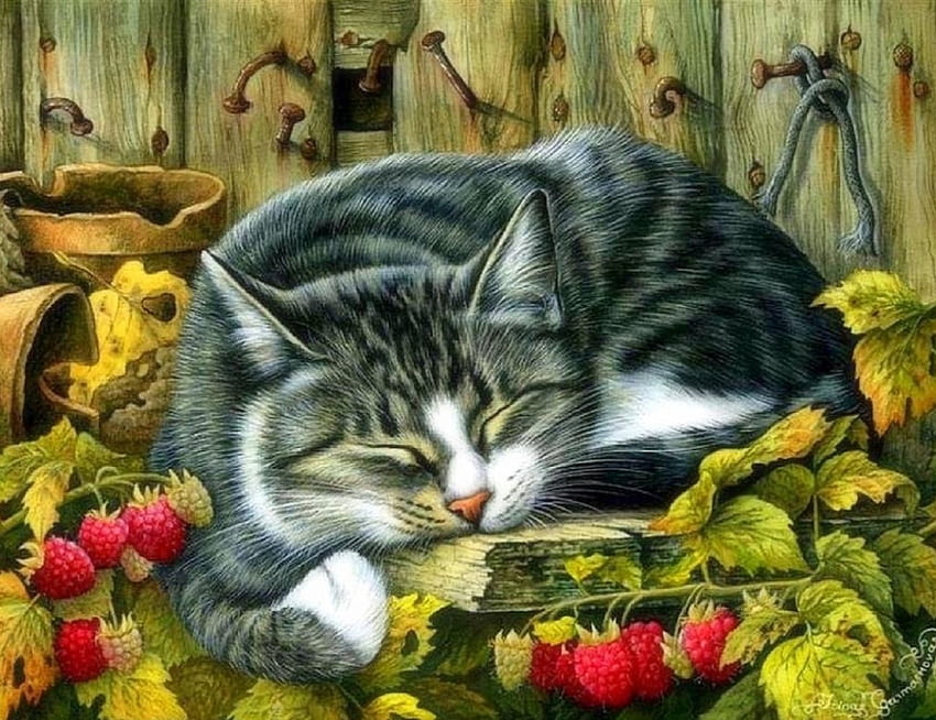 Сладко Спяща, ягоди, атракции в сънищата, есен, котки, сладки, картини, любов четири сезона, животни, есен, рисувай и рисувай, сън HD тапет