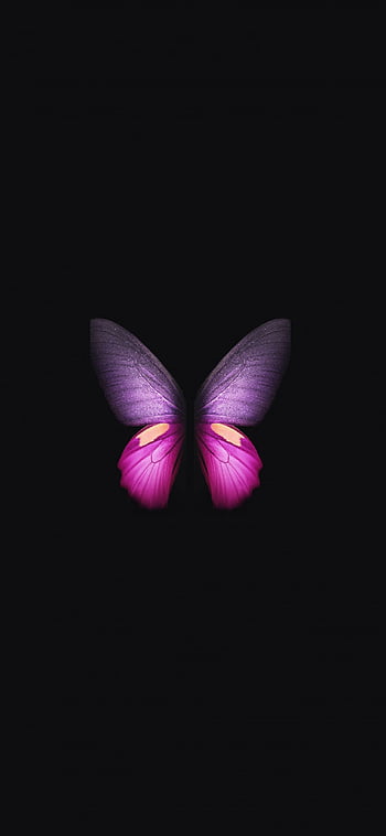 Samsung Galaxy Fold Pink Butterfly HD wallpaper | Pxfuel