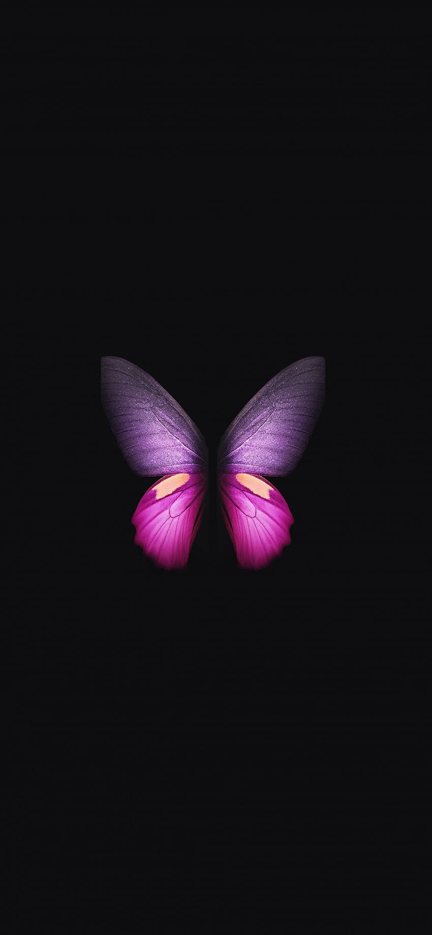 Samsung Galaxy Fold, Pink Purple Butterfly HD phone wallpaper