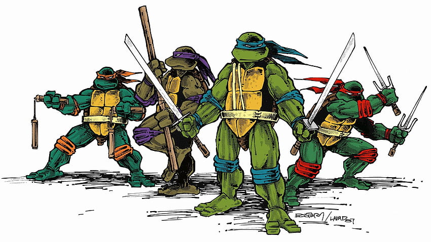 Ninja Turtles, Ninja Hyper HD wallpaper