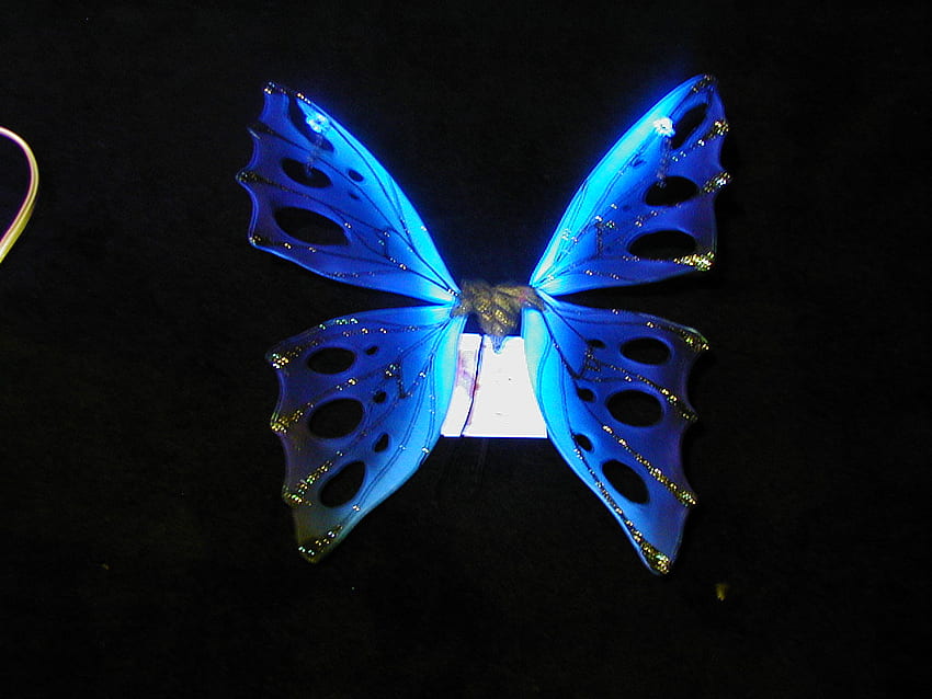 Удивителен цвят на тъмно синя пеперуда Добре [] за вашия мобилен телефон и таблет. Разгледайте Синята пеперуда. Пеперуда , Красива пеперуда за , Пеперуда HD тапет