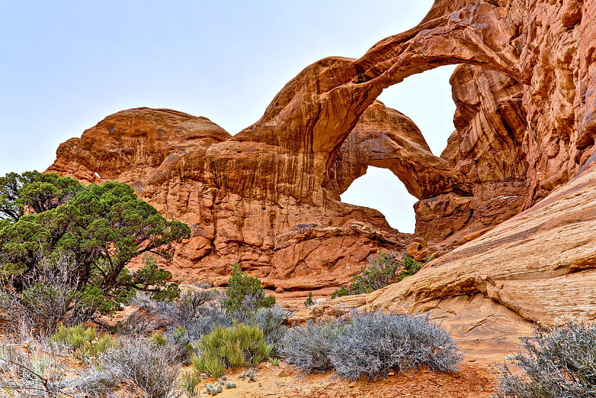Национален парк Арки Юта САЩ скала арка небе дървета камъни скали, Desert Rock HD тапет