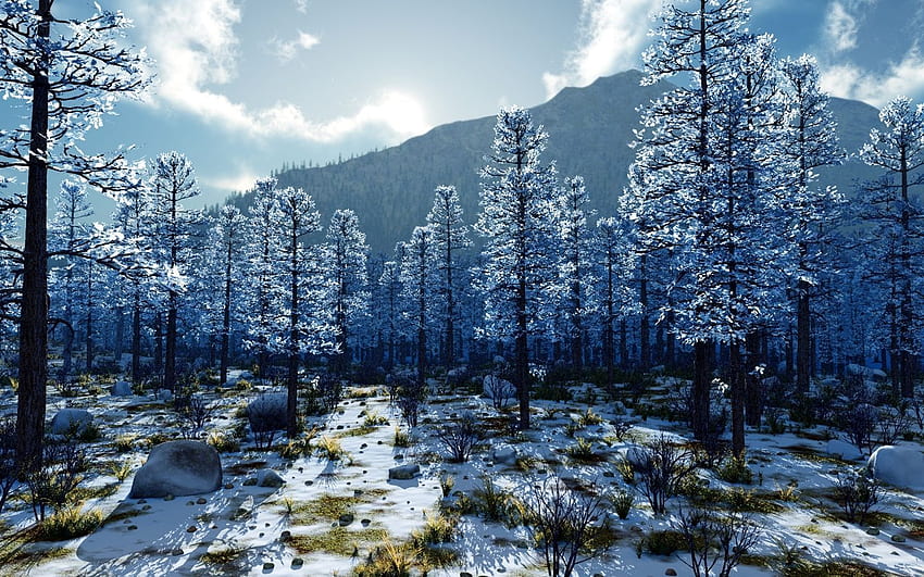 3D-Landschaft: Winter Blues, erstellt von Tiger I, Nr. 58199 HD-Hintergrundbild
