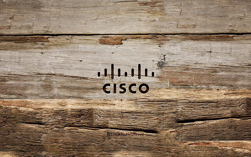 Cisco 나무 로고, , 나무 배경, 브랜드, Cisco 로고, 크리에이티브, 나무 조각, Cisco HD 월페이퍼