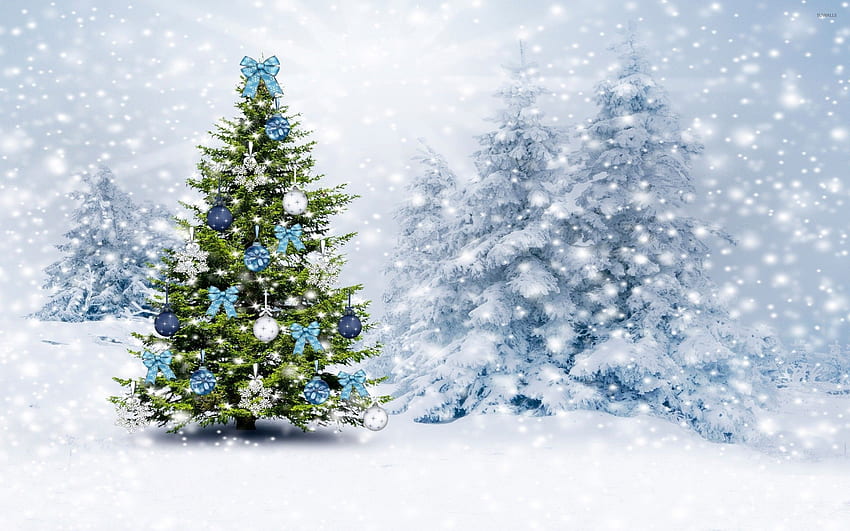 White Christmas, Xmas Tree HD wallpaper | Pxfuel