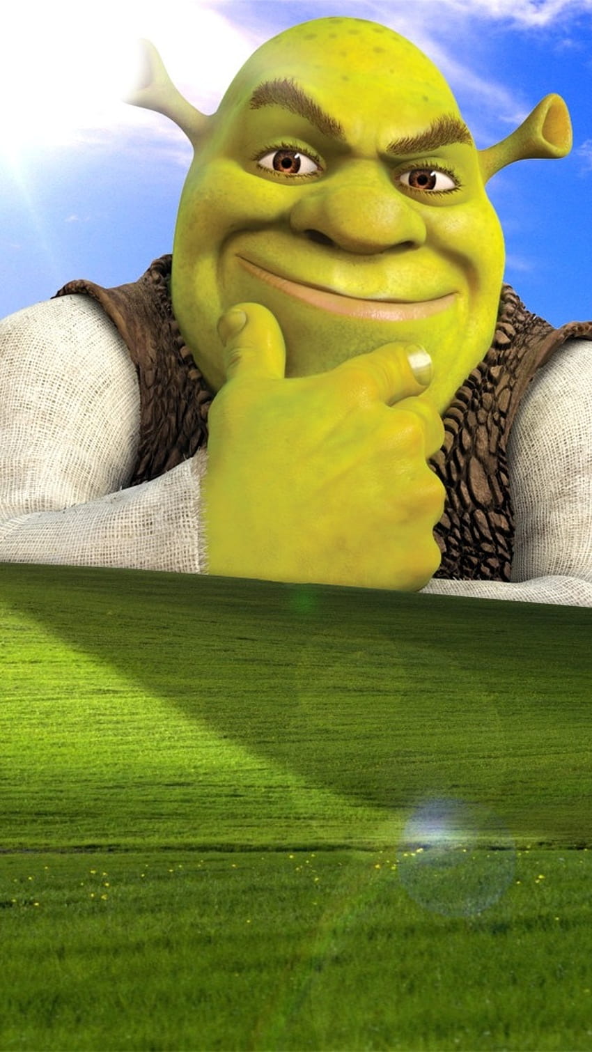 Meme, funny, shrek, HD phone wallpaper