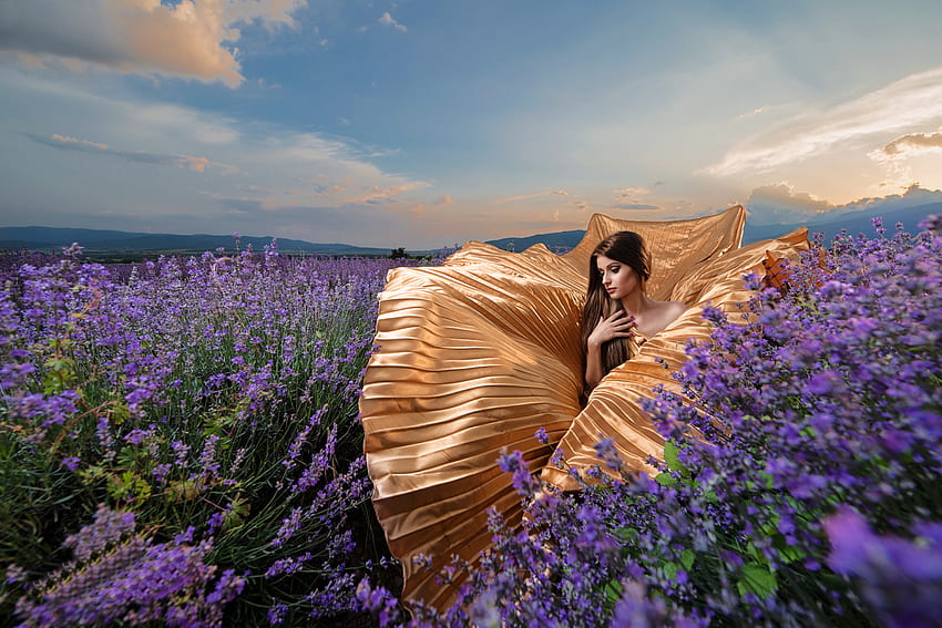Brunette in Golden Dress in a Field of Lavender, model, dress, lavender, brunette, gold HD wallpaper