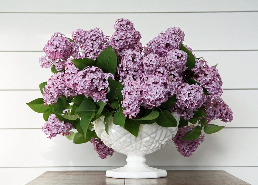 Fleurs, Feuilles, Lilas, Bouquet, Vase, Printemps Fond d'écran HD