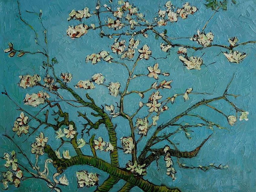 Винсент Ван Гог Цвете на бадемово дърво Най-популярната с маслени бои, Ван Гог Цветове на бадем HD тапет