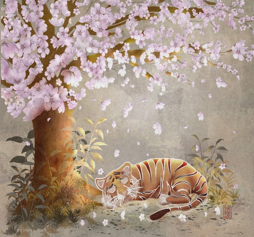 Nap, sleep, tree, year of the tiger, art, tiger, chinese, primavara, spring, pink, zodiac, maureen fletcher, fantasy, sakura, tigru HD wallpaper