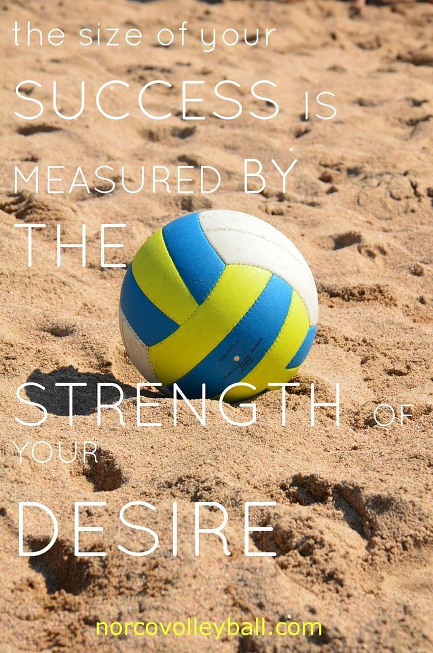 Volleyball Quotes, Cute Volleyball HD phone wallpaper