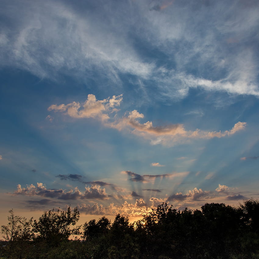 Nature, Trees, Clouds, Dawn, Rise, Sunrise HD phone wallpaper