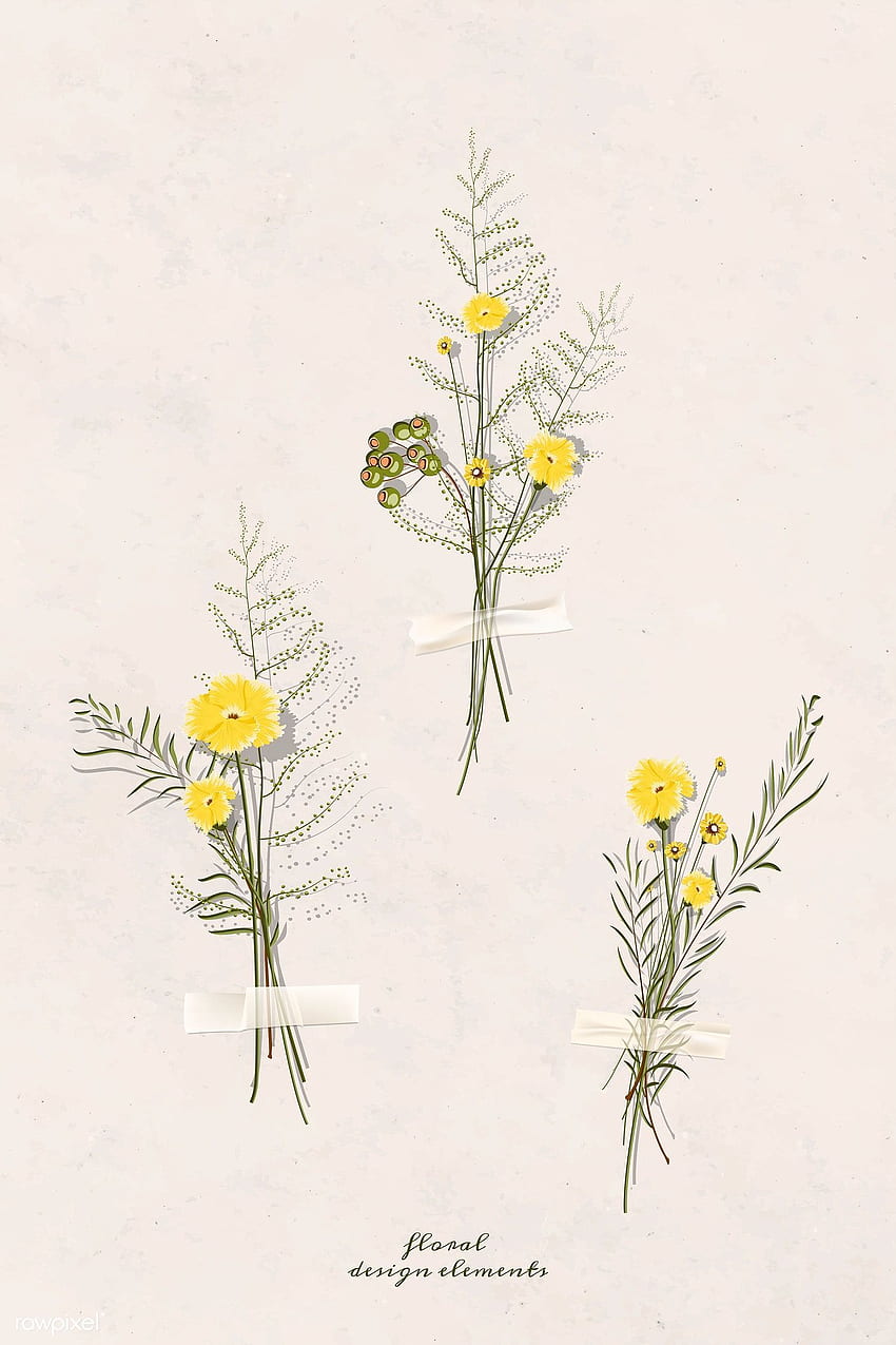เวกเตอร์พรีเมี่ยมของเวกเตอร์องค์ประกอบฤดูใบไม้ร่วงสมุดดอกไม้แห้ง สมุด ดอกไม้แห้ง ดอกไม้ ดอกไม้อัด วอลล์เปเปอร์โทรศัพท์ HD