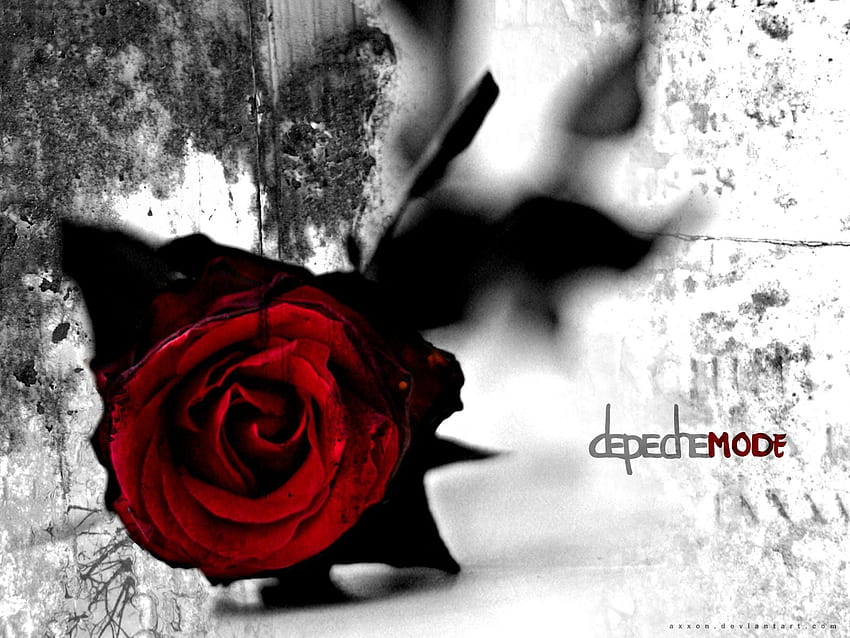 - Depeche Mode. Depeche Mode, wahre Kunst, lass mich nie im Stich, Depeche Mode Rose HD-Hintergrundbild