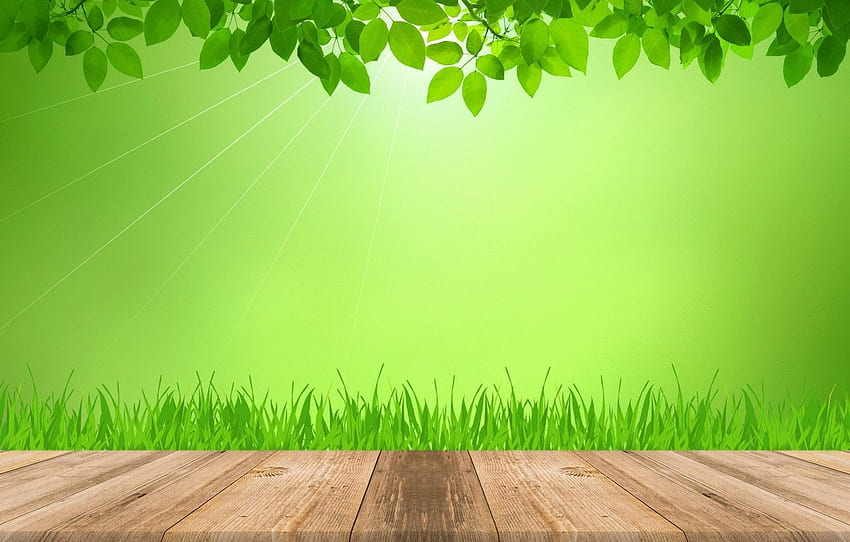 herbe, feuilles, rayons, lumière, vert, Planche pour , section разное Fond d'écran HD
