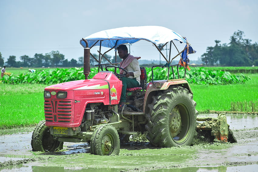 Tractor trabajando en campos indios de barro, tractor Mahindra fondo de pantalla