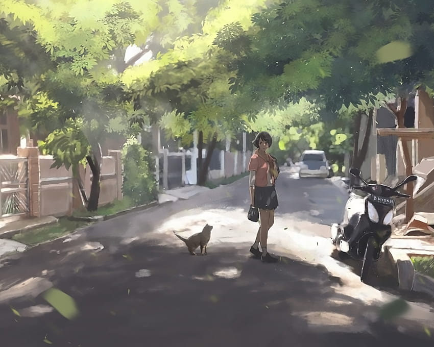 Anime Girl, Cat, Street, Art, Original, , , Background, C0d51d, Girl ...
