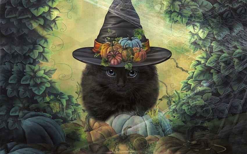 Pumpkin Patch Kitty, black cat, pumpkins, kitten, Halloween, digital art, Hat HD wallpaper
