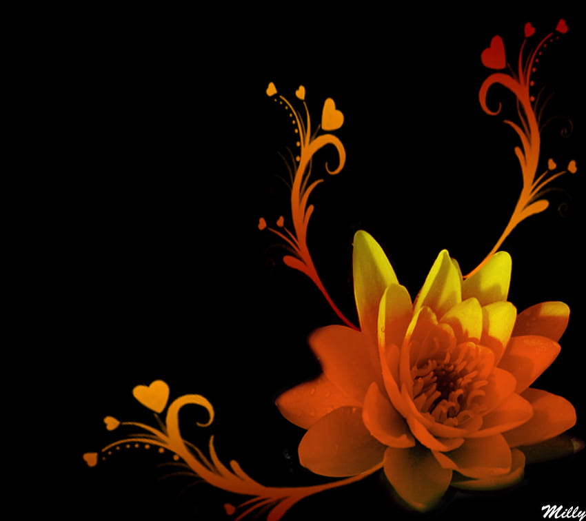 Einfache Schönheit, Design, Anmut, Schönheit, Blume HD-Hintergrundbild