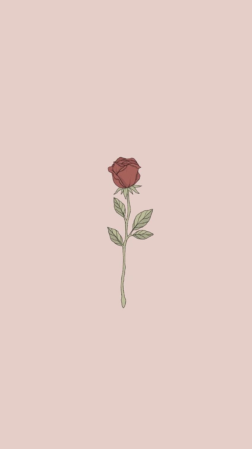 Rose Emoji, Emo Roses HD phone wallpaper