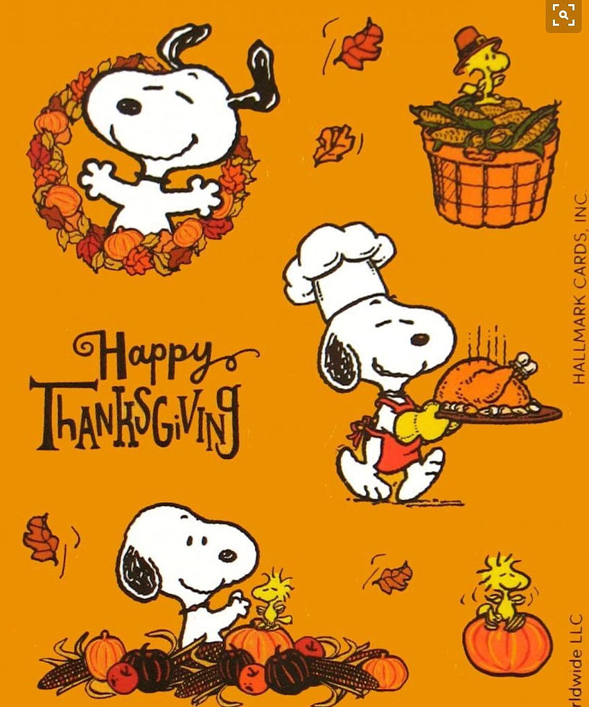 Snoopy est un grand chef!. Snoopy de Thanksgiving, Thanksgiving, Snoopy, Charlie Brown Automne Fond d'écran de téléphone HD