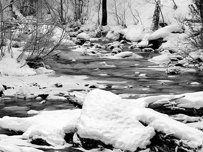 Snowy Creek, creek, water, snow, tree HD wallpaper | Pxfuel