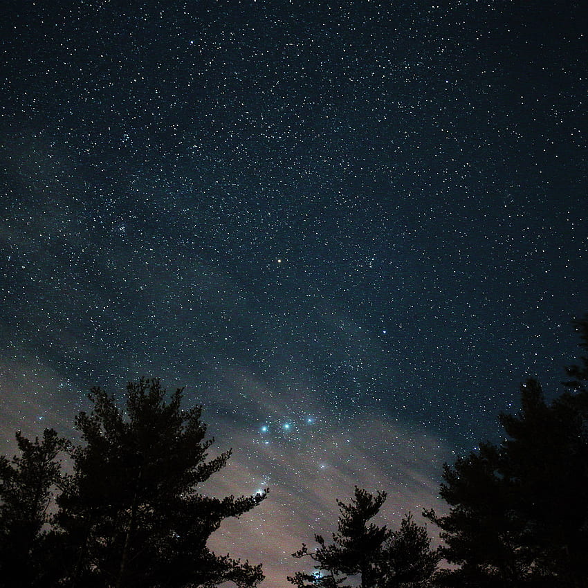 Night Sky Star Wood Space Starry Blue Dark , Dark Sky with Stars HD phone wallpaper