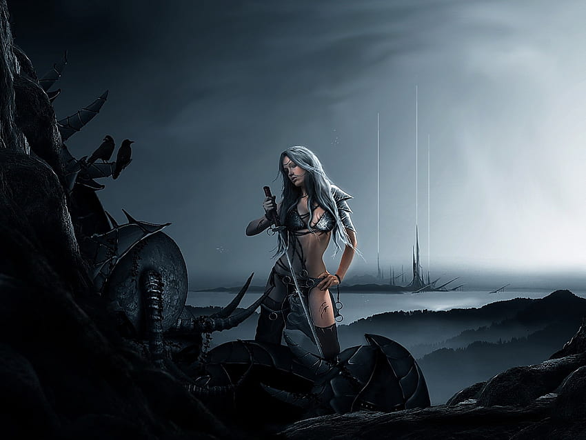 Female Warrior, sword, original, women, fantasy warrior, armor HD wallpaper