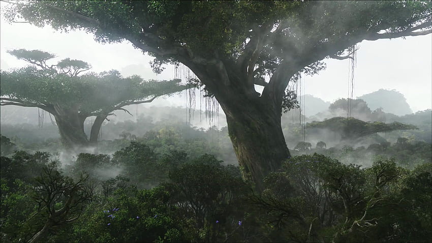 neueste 1.920×1.080 Pixel. Avatarbaum, Dschungel, Avatarfilm HD-Hintergrundbild