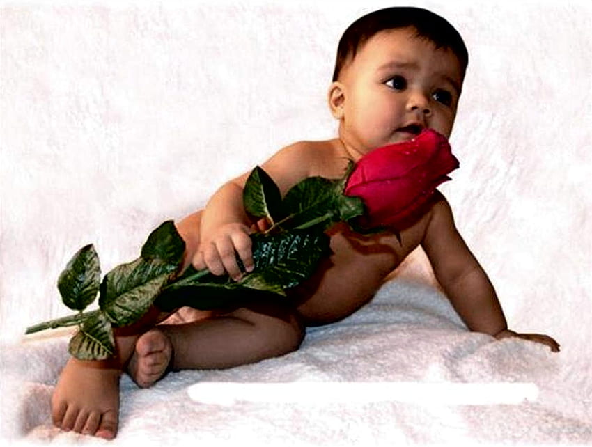 Gift for you, sweet, rose, children, red, baby, gift HD wallpaper