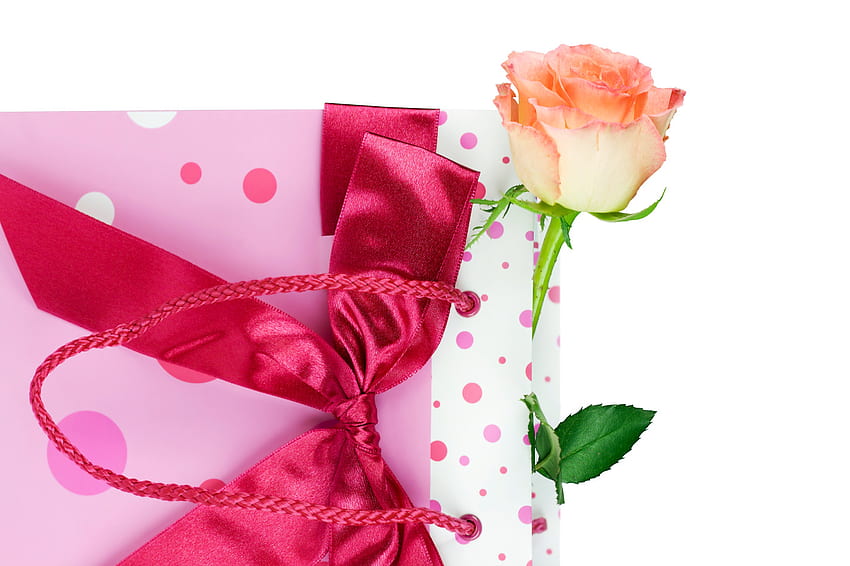 バラの入ったバッグ、バラ、プレゼント、バッグ、リボン 高画質の壁紙