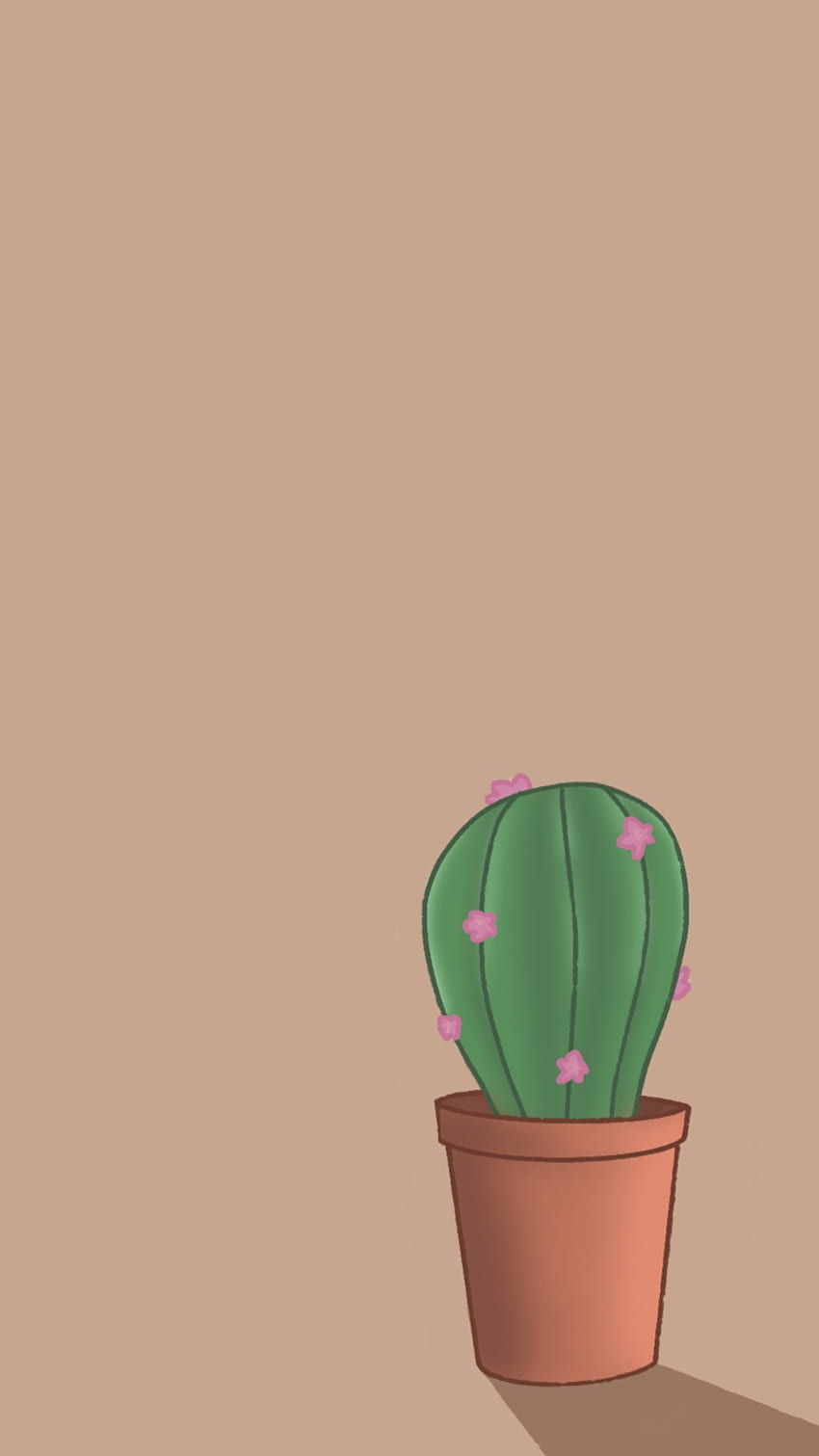 Cactus, nature, plants, coffee HD phone wallpaper