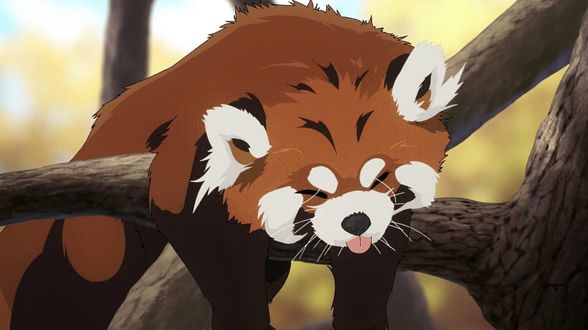 Panda rojo animado, dibujos animados rojos fondo de pantalla | Pxfuel