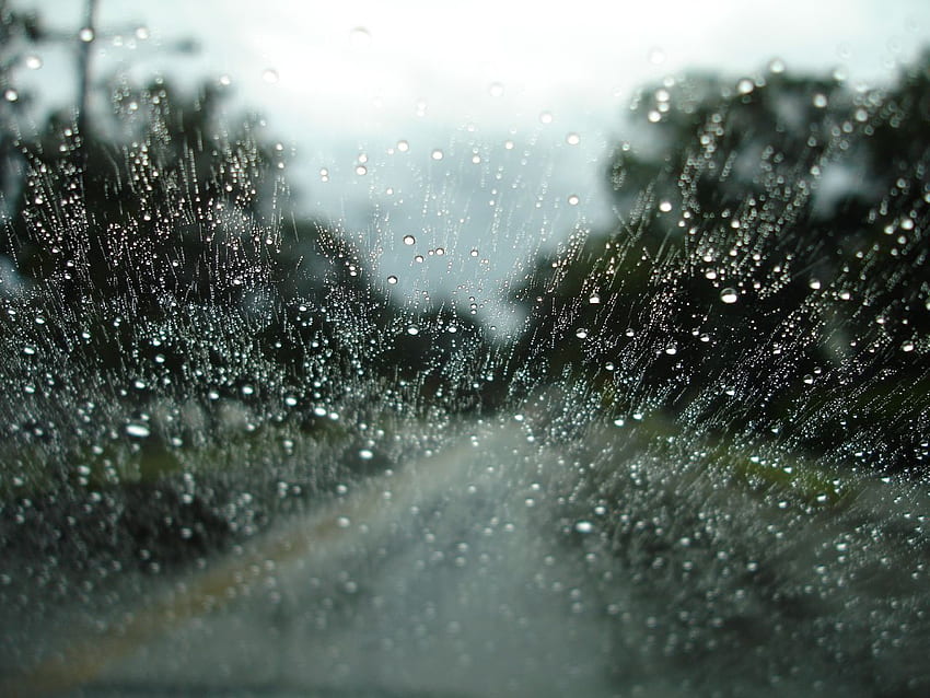 Дъждовен ден, прозорец, дъждовни капки, дървета, стъкло, дъждовно HD тапет