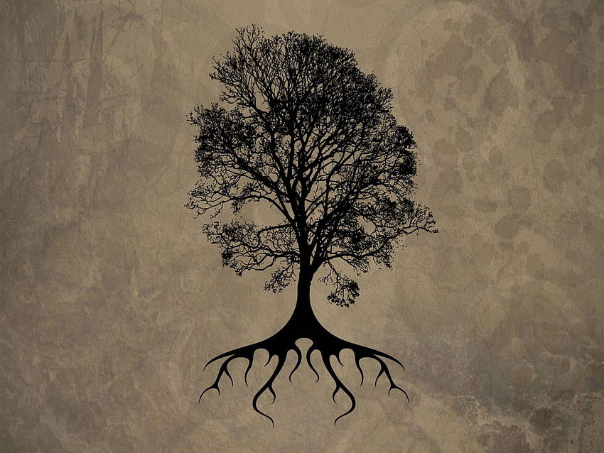 根のある木と背景 高画質の壁紙