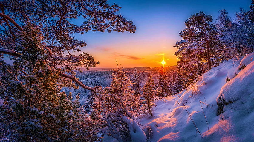 Morning Tracks, winter, hills, snow, trees, colors, sky, sun, sunrise, landscape HD wallpaper