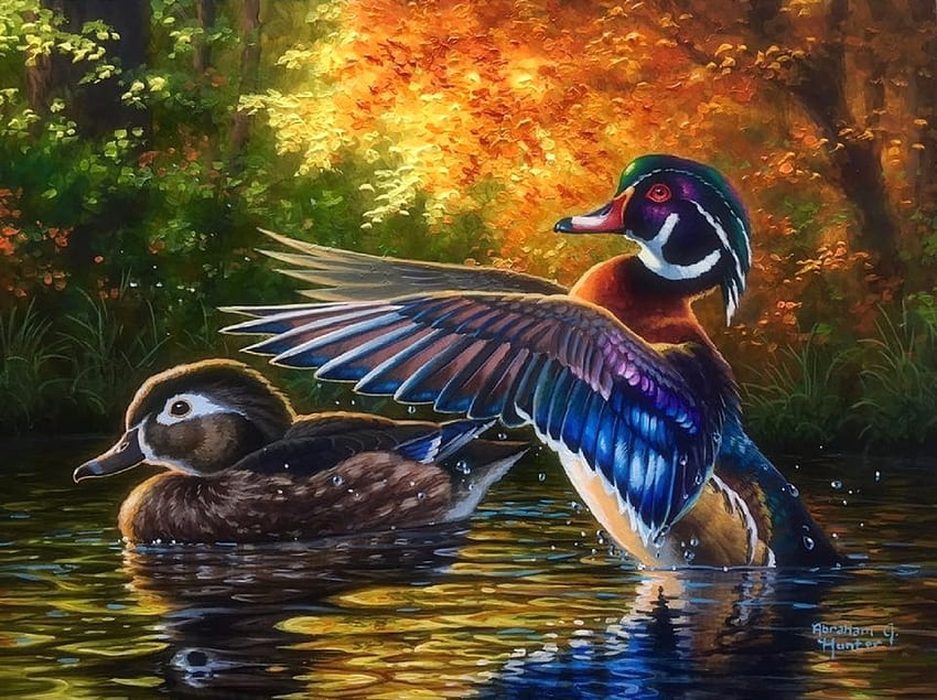 Ducks in love HD wallpapers | Pxfuel