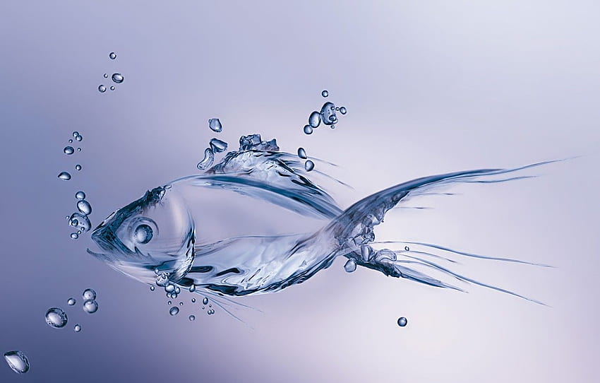 Page 2 | bubble fish HD wallpapers | Pxfuel