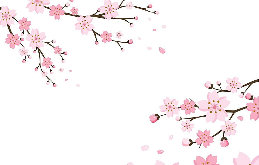 flores, flor, , cereza, textura para, sección текстуры, Minimalist Flower Tablet fondo de pantalla