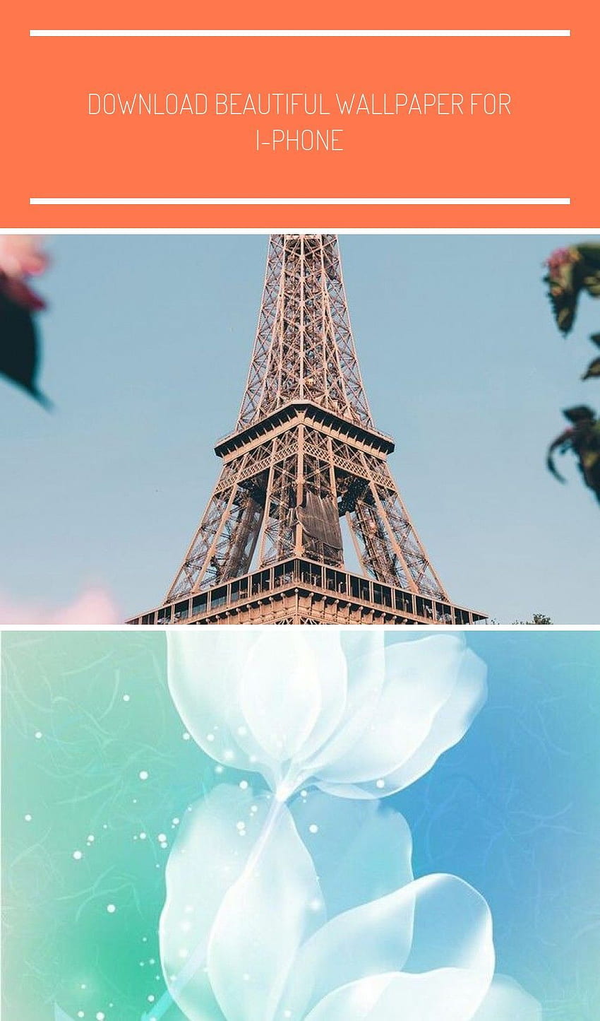 Paris, der schönste Ort der Welt, Paris Food HD-Handy-Hintergrundbild