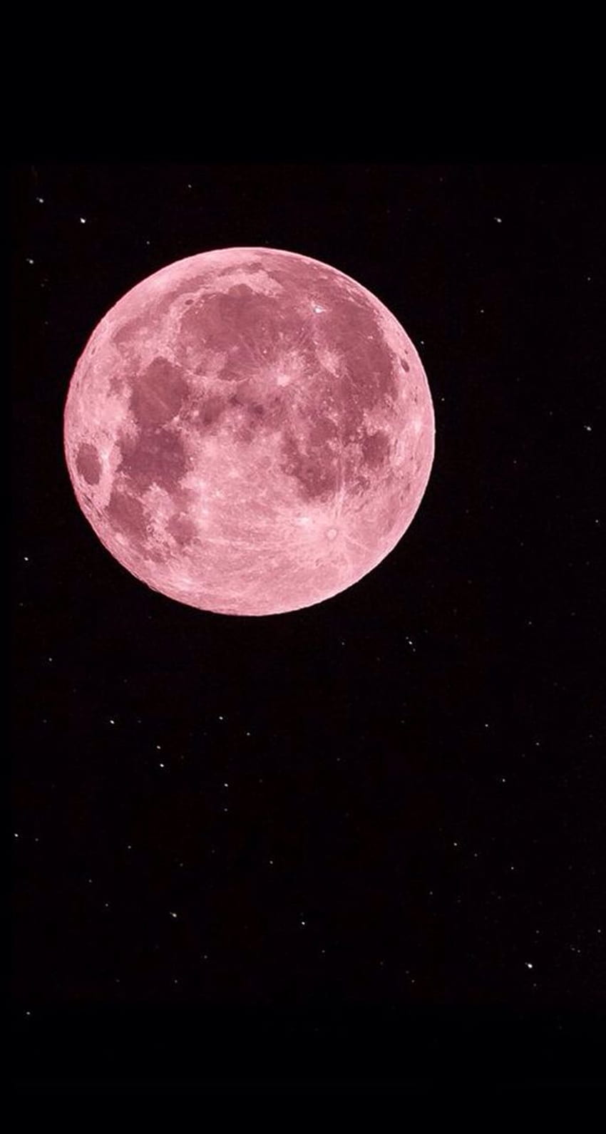 Pink Moon wallpaper ponsel HD