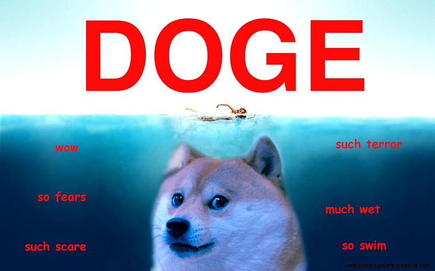 ドージェミーム。 Doge meme, Funny , 犬のジョーク 高画質の壁紙