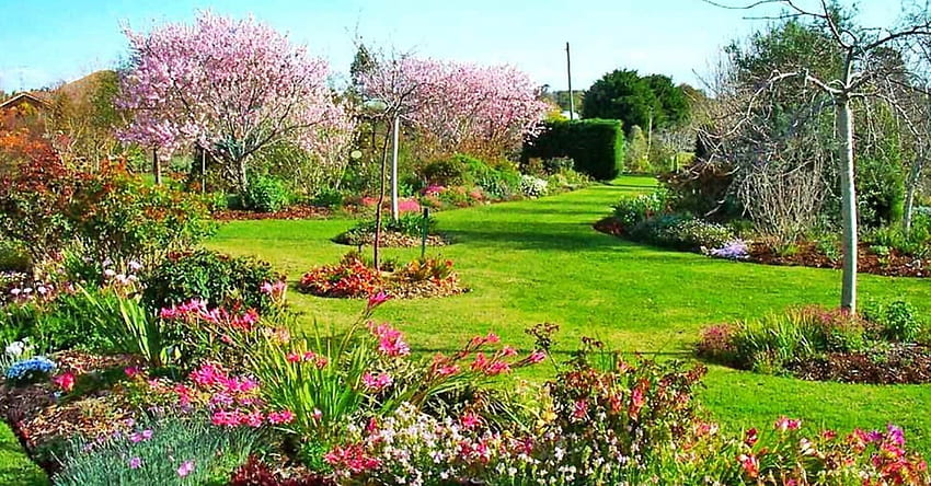 Un giardino fiorito, giardino, fiori, parco, bello Sfondo HD
