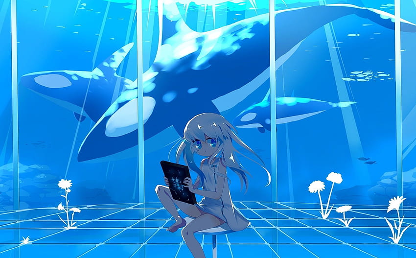 水 自然 orca シャチ アニメ 女の子 高画質の壁紙