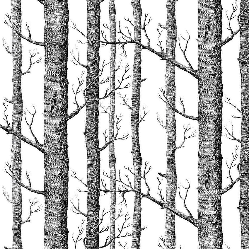 Akea Modern Birch Tree Roll, Batang Hutan Hitam dan Putih, untuk Ruang Tamu, Kamar Tidur, Latar Belakang TV dll, Ukuran 20,8 inci x 32,8 kaki, 57 kaki persegi wallpaper ponsel HD