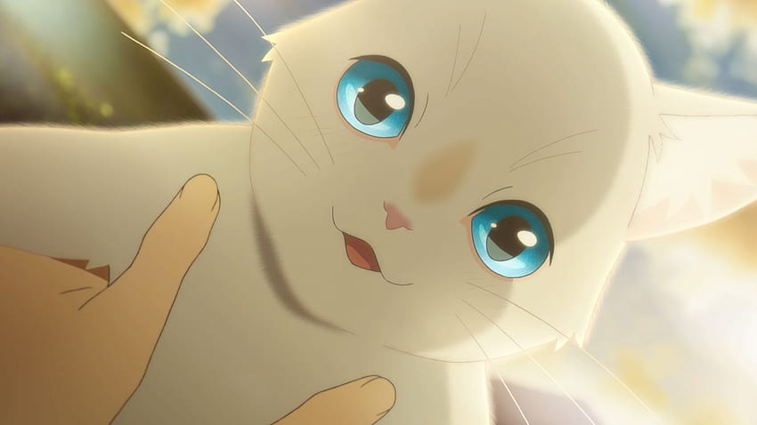 Upcoming Netflix Anime Film 'A Whisker Away' Features Voice Of HD wallpaper