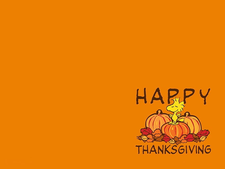 Thanksgiving , Thanksgiving Laptop HD wallpaper