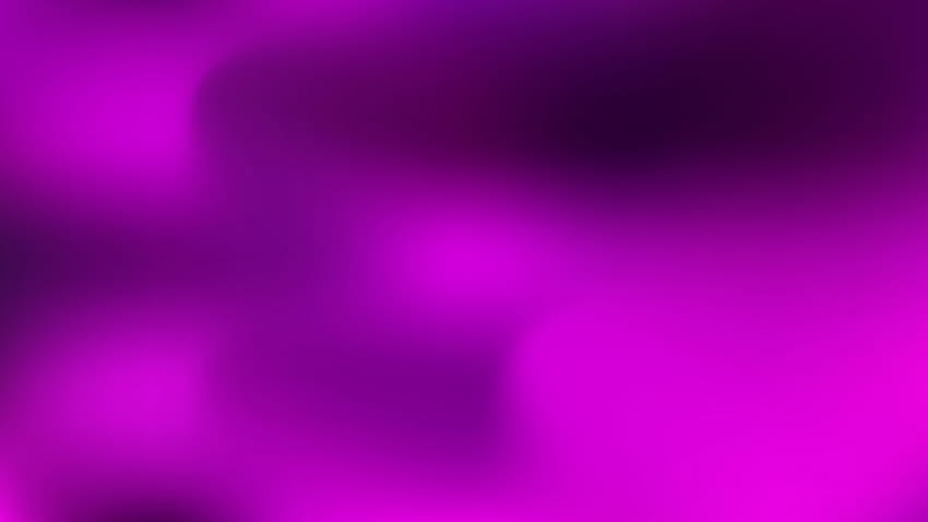 바이올렛 퍼플 핑크 - 배경 HD 월페이퍼