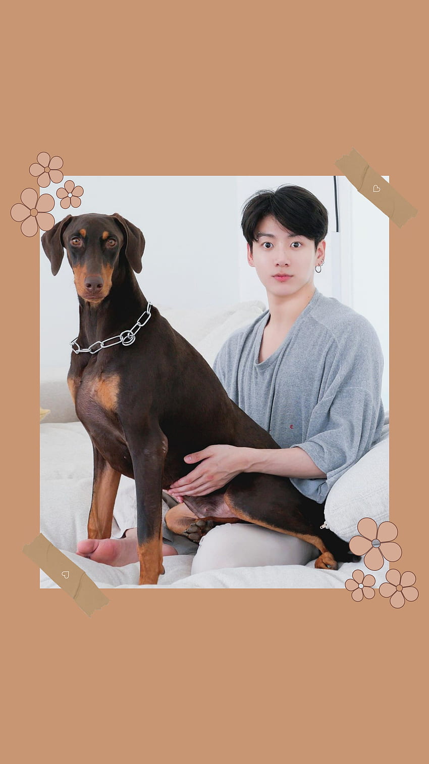 Jungkook, Bts, companion dog, Army, art, Kookie, Bam HD phone wallpaper