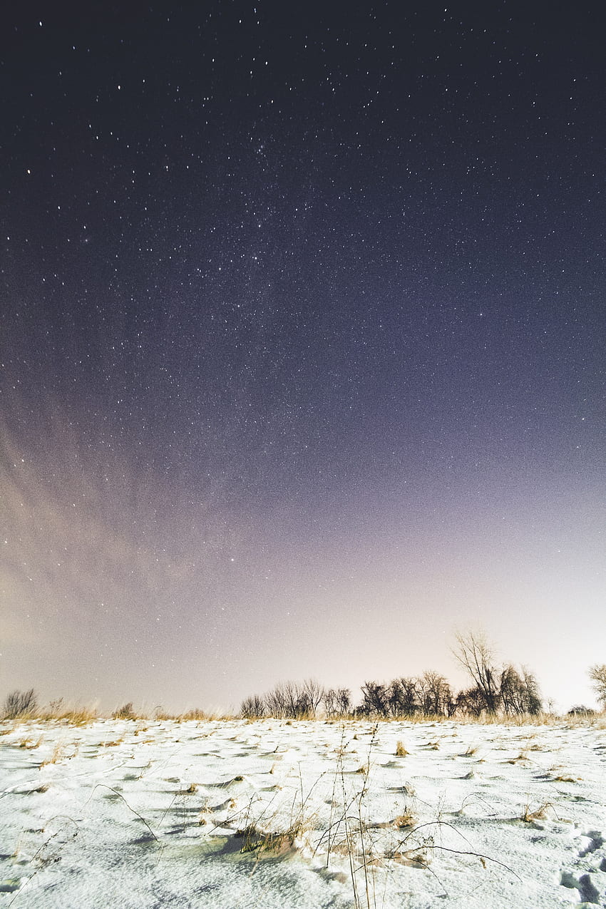 Winter, Nature, Night, Snow, Starry Sky, Field HD phone wallpaper